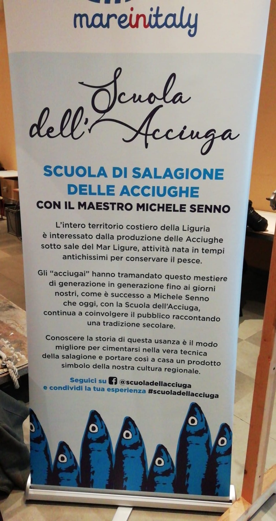 Anciua