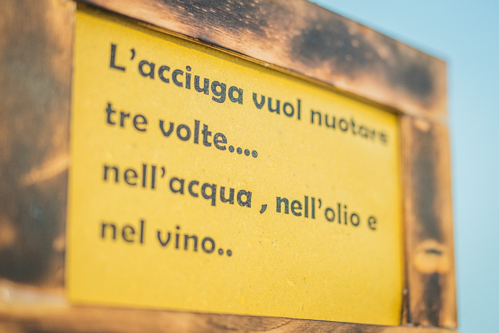 Anciua